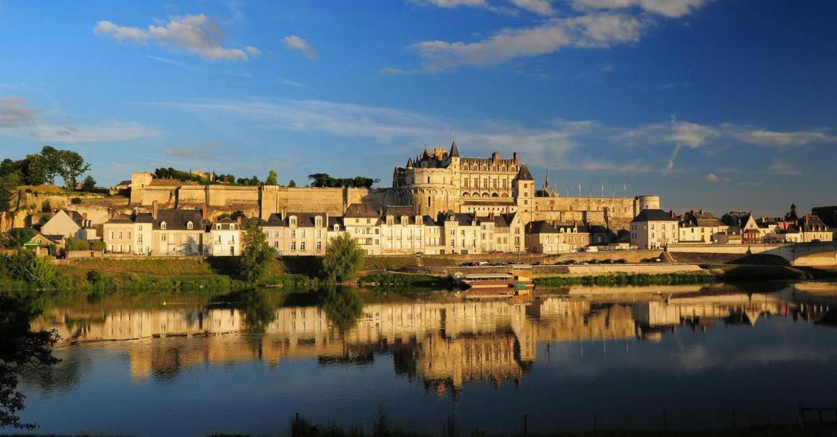 Apartament Le Racine / Colbert - Bords De Loire Tours Zewnętrze zdjęcie